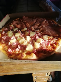 Plats et boissons du Pizzeria Mega Pizza à Nogent-le-Roi - n°4