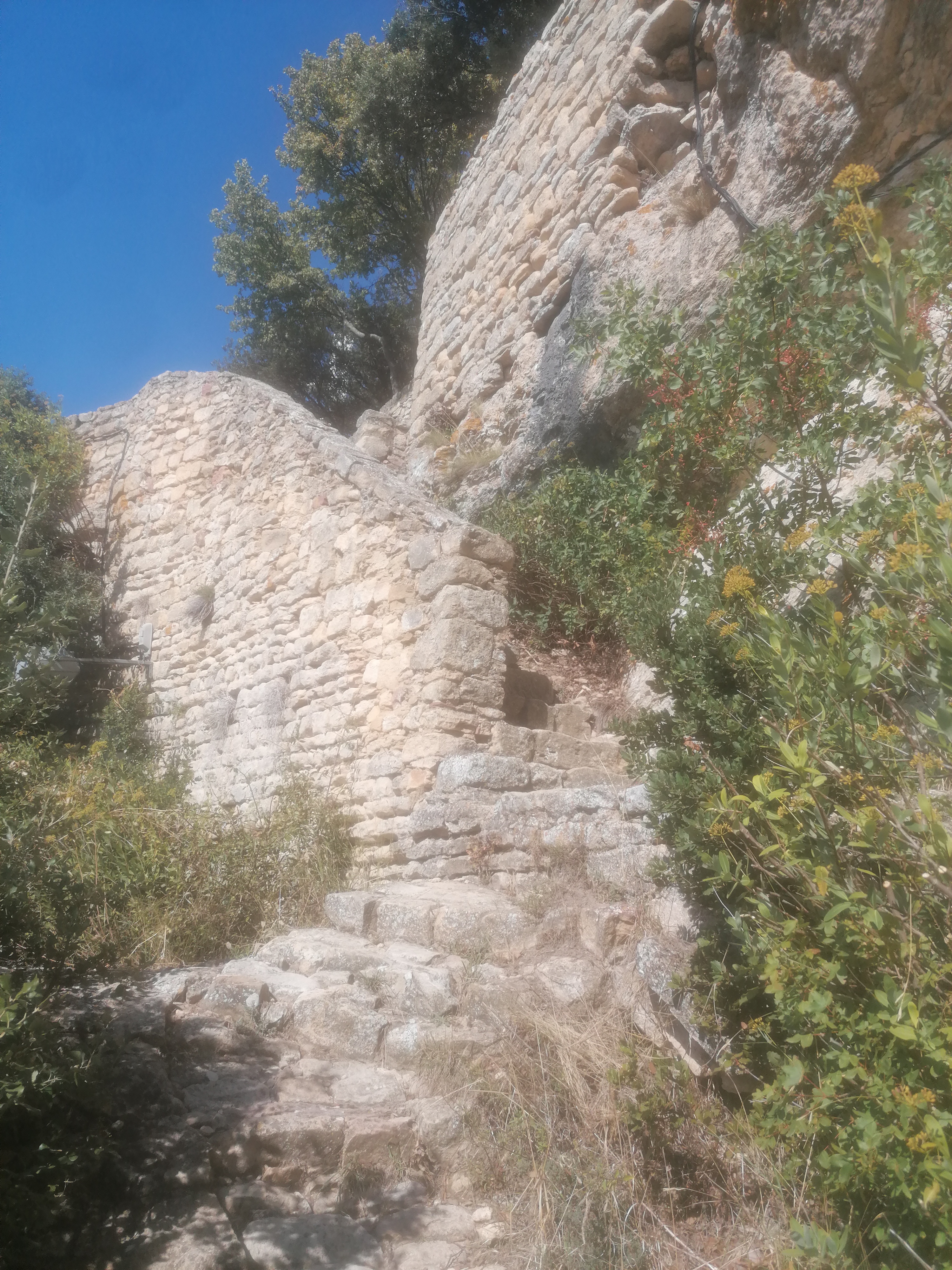Photo n° 16 de l'avis de marmotte.n fait le 17/10/2021 à 13:10