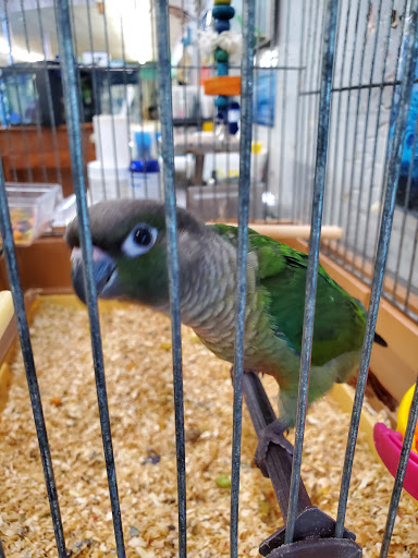 Pond Fish Supplier «Aquarium & Imports Inc.», reviews and photos, 2639 Hendersonville Rd, Arden, NC 28704, USA