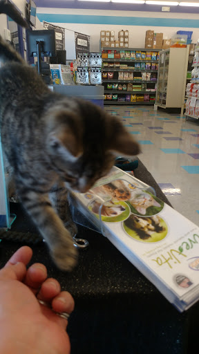 Pet Supply Store «Bow Wow and Meow Pet Supplies», reviews and photos, 1648 S 4th St, Allentown, PA 18103, USA