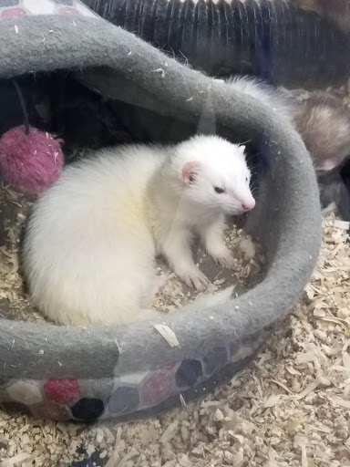 Pet Store «Tanks Pet Supply», reviews and photos, 628 S Main St, Princeton, IL 61356, USA