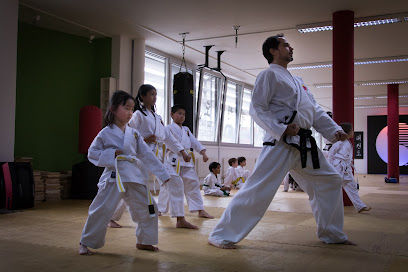 Kampfkunst Zürich (Taekwondo Karate Zürich)