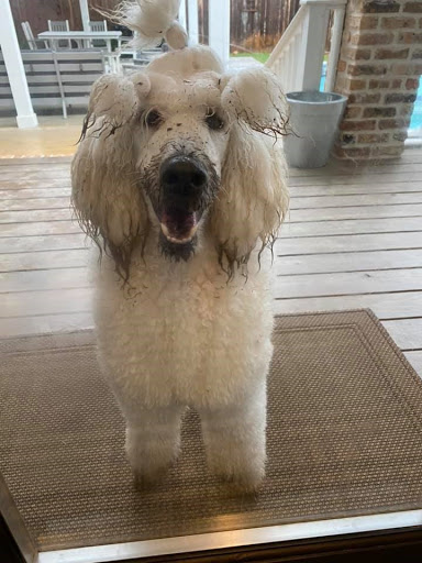 Air Conditioning Repair Service «Custom Comfort Air», reviews and photos