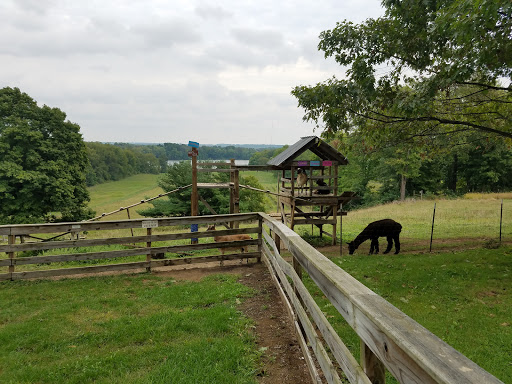 Vineyard «The Winery at Wolf Creek», reviews and photos, 2637 S Cleveland Massillon Rd, Barberton, OH 44203, USA