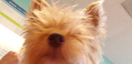 Pet Supply Store «PetSmart», reviews and photos, 8105 Moores Ln Ste 1300, Brentwood, TN 37027, USA