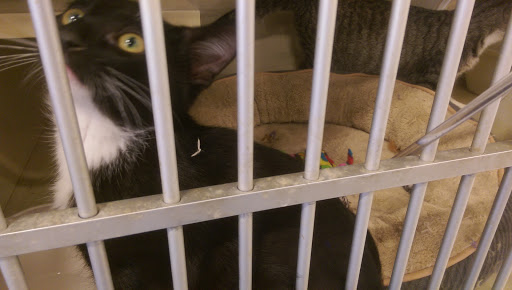 Pet Supply Store «Petco Animal Supplies», reviews and photos, 2277 Ford Pkwy, St Paul, MN 55116, USA