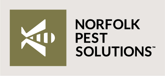 Reviews of Norfolk Pest Solutions in Norwich - Pest control service