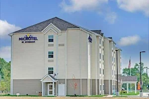 Microtel Inn & Suites by Wyndham Philadelphia Airport Ridley image