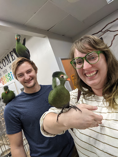 Bird Shop «Arizona Bird Store», reviews and photos, 565 S Dobson Rd, Mesa, AZ 85202, USA