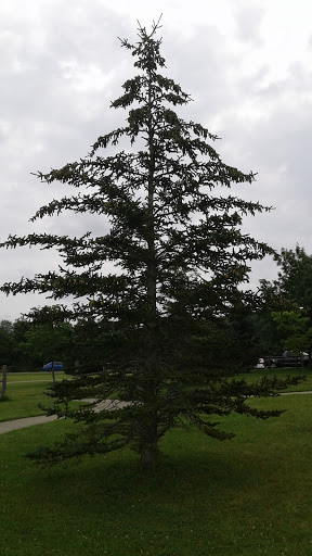 Campground «Lighthouse Landing Campground», reviews and photos, 3780 US-11, Marathon, NY 13803, USA