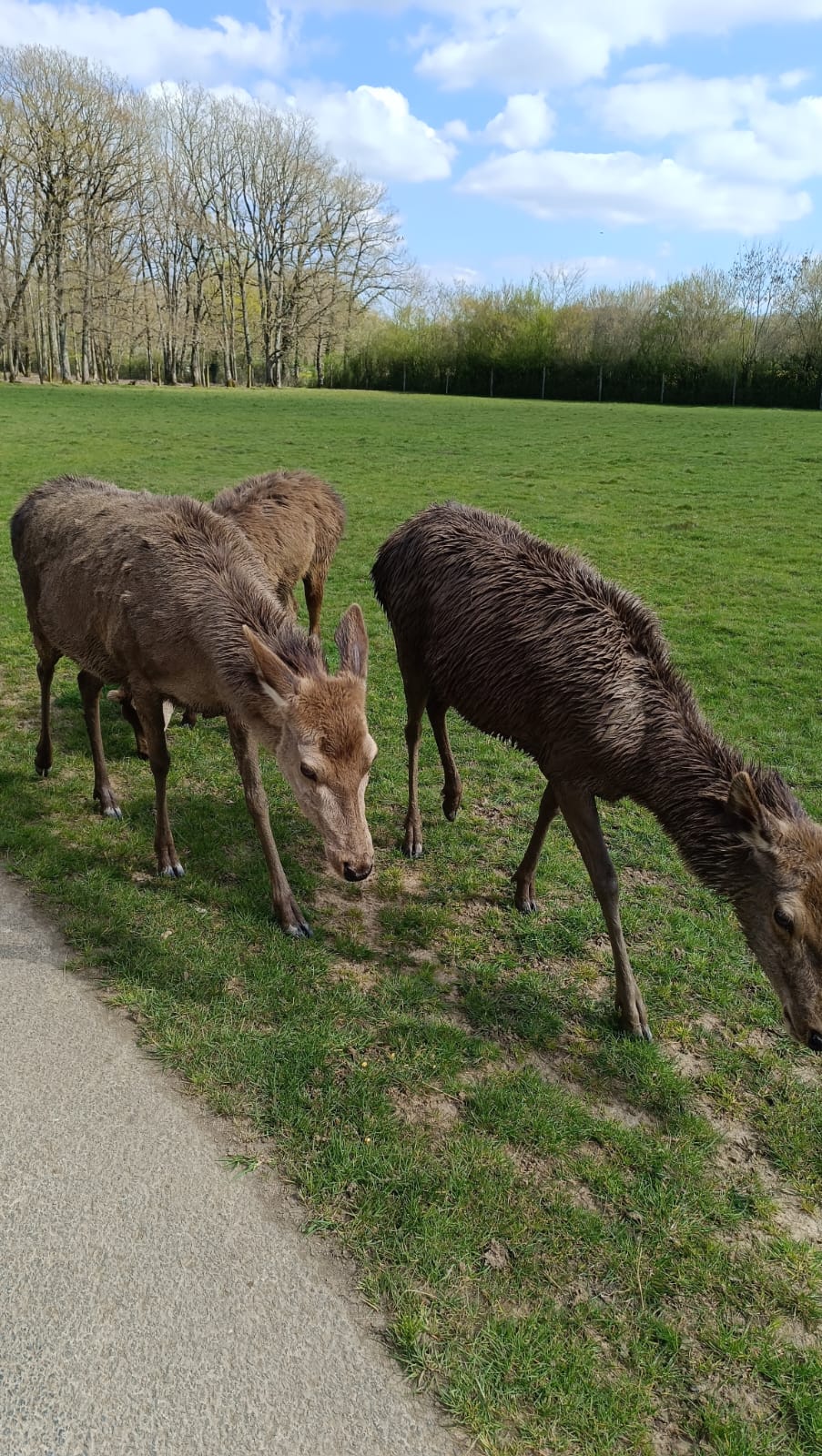 Photo n° 2 de l'avis de Vero.e fait le 11/04/2023 à 11:18