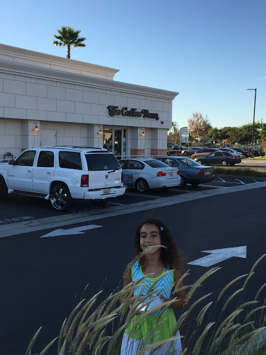 Coffee Shop «The Coffee Bean & Tea Leaf», reviews and photos, 21300 Hawthorne Blvd B, Torrance, CA 90503, USA