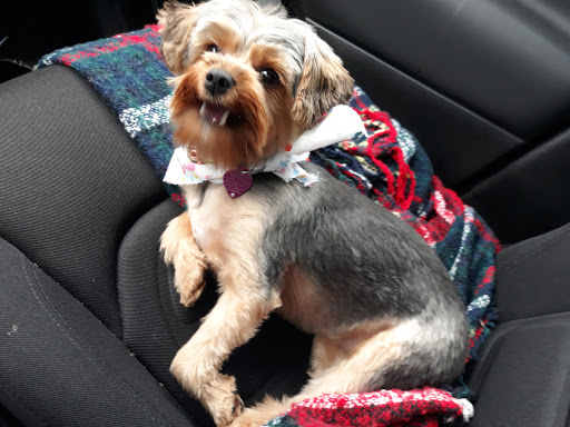 Pet Supply Store «Petco Animal Supplies», reviews and photos, 18578 Coastal Hwy #12, Rehoboth Beach, DE 19971, USA