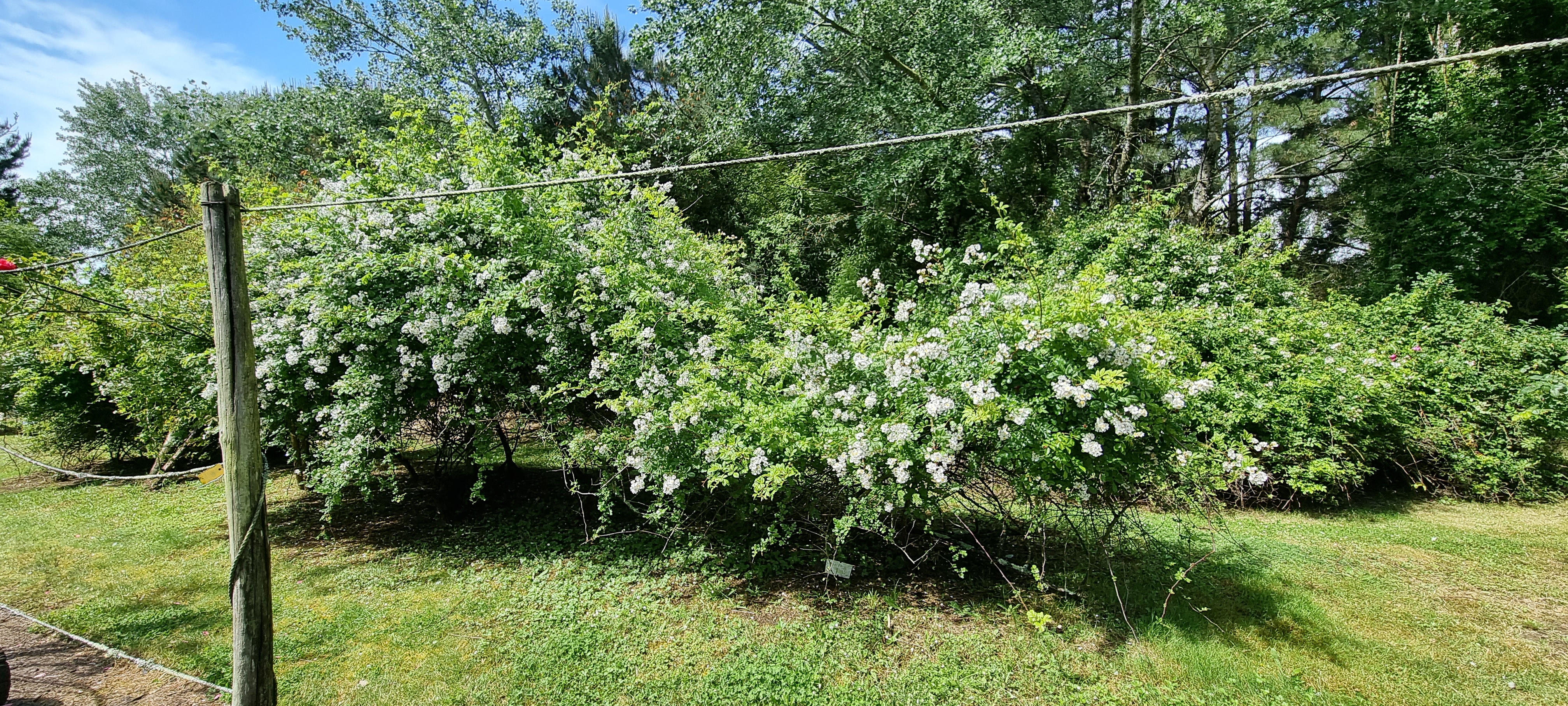Photo n° 24 de l'avis de Lavialle.e fait le 24/05/2021 à 16:18