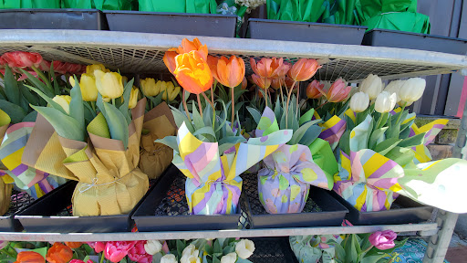 Hardware Store «Lakewood Hardware & Paint, Inc», reviews and photos, 9020 Lakewood Dr SW, Lakewood, WA 98499, USA