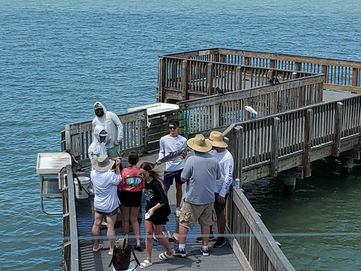 Bait Shop «Angler 360 Bait Tackle and Apparel Co. Belleair Causeway», reviews and photos, 3900 W Bay Dr, Belleair Bluffs, FL 33770, USA