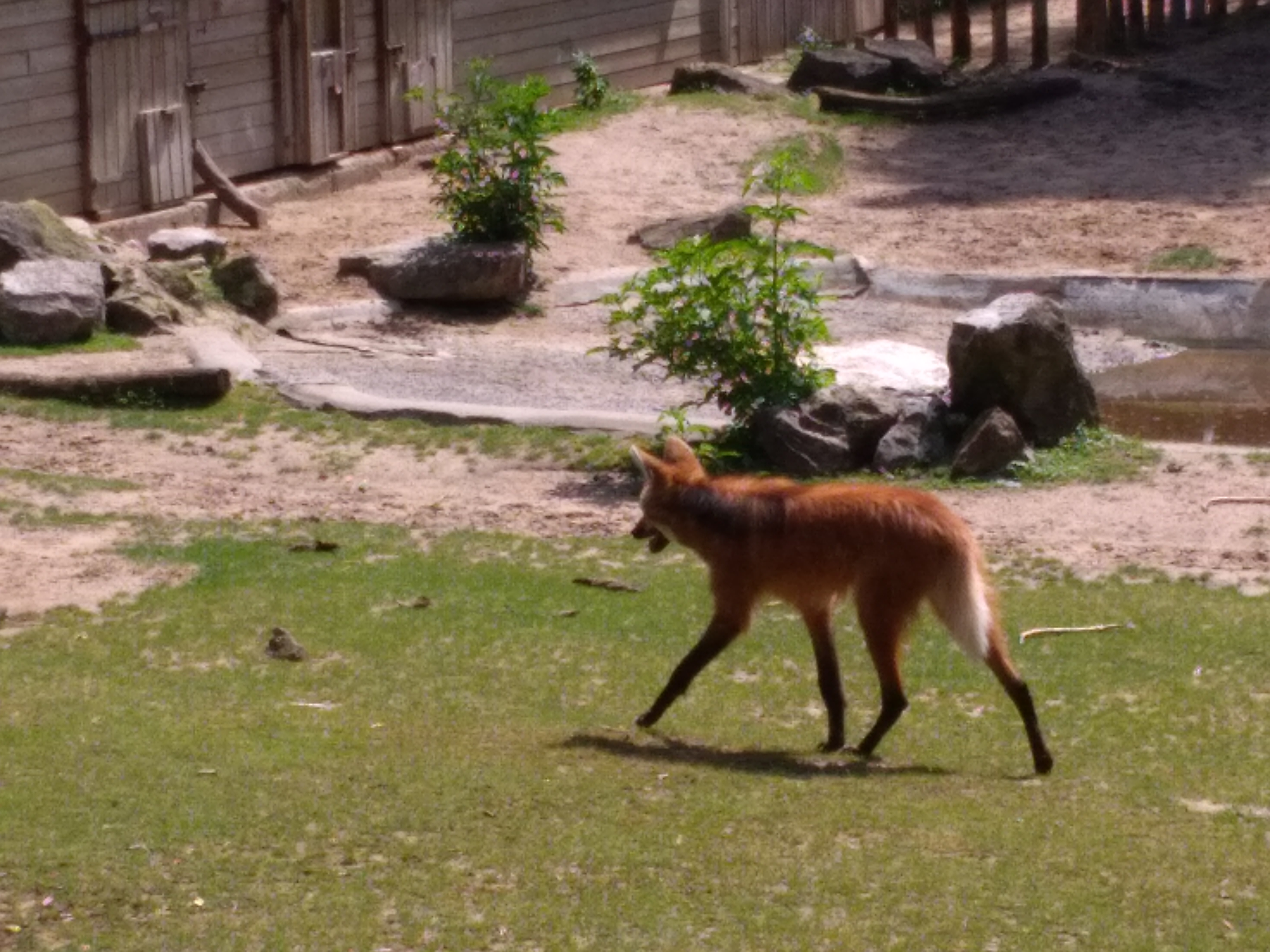 Photo n° 1 de l'avis de Antonin.r fait le 26/05/2018 à 15:29