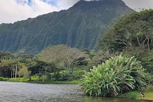 Hoʻomaluhia Botanical Garden image
