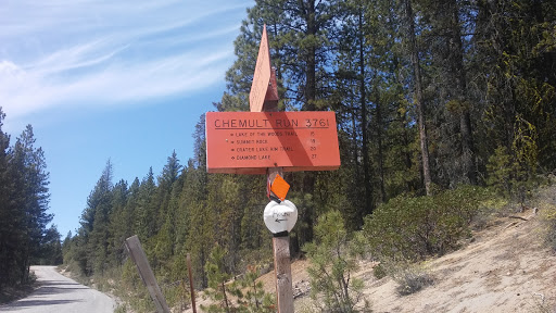 National Forest «Umpqua National Forest», reviews and photos, 1121 Houser Ct, Idleyld Park, OR 97447, USA