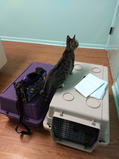 Animal Hospital «Lifetime Pet Center- Williamsburg», reviews and photos, 3070 Old State Rte 32, Batavia, OH 45103, USA