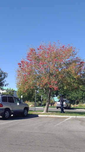 Park «Mountain Crest Park», reviews and photos, 4701 N Durango Dr, Las Vegas, NV 89129, USA