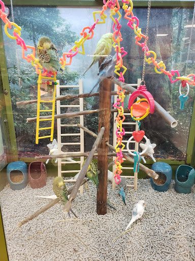 Pet Supply Store «Petco Animal Supplies», reviews and photos, 18578 Coastal Hwy #12, Rehoboth Beach, DE 19971, USA