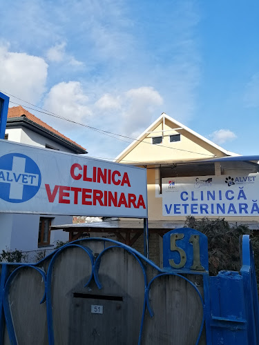 Opinii despre Clinica Veterinara ALVET în <nil> - Veterinar