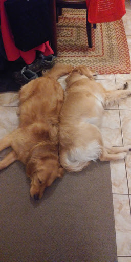 Pet Supply Store «Essex County Co-Op», reviews and photos, 146 S Main St, Topsfield, MA 01983, USA