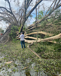 Castor Tree Service & Landscaping LLC - Photo 9 - Car repair in Austell, GA, South Fulton