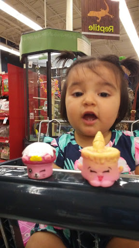 Pet Supply Store «Petco Animal Supplies», reviews and photos, 364 Randall Rd, South Elgin, IL 60177, USA