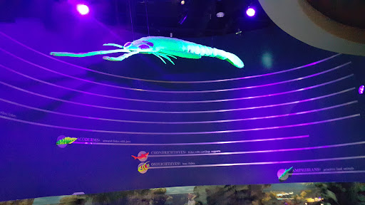 Planetarium «Fernbank Science Center», reviews and photos, 156 Heaton Park Dr, Atlanta, GA 30307, USA