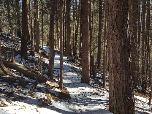 State Park «Swatara State Park», reviews and photos, 1450 Suedberg Rd, Pine Grove, PA 17963, USA