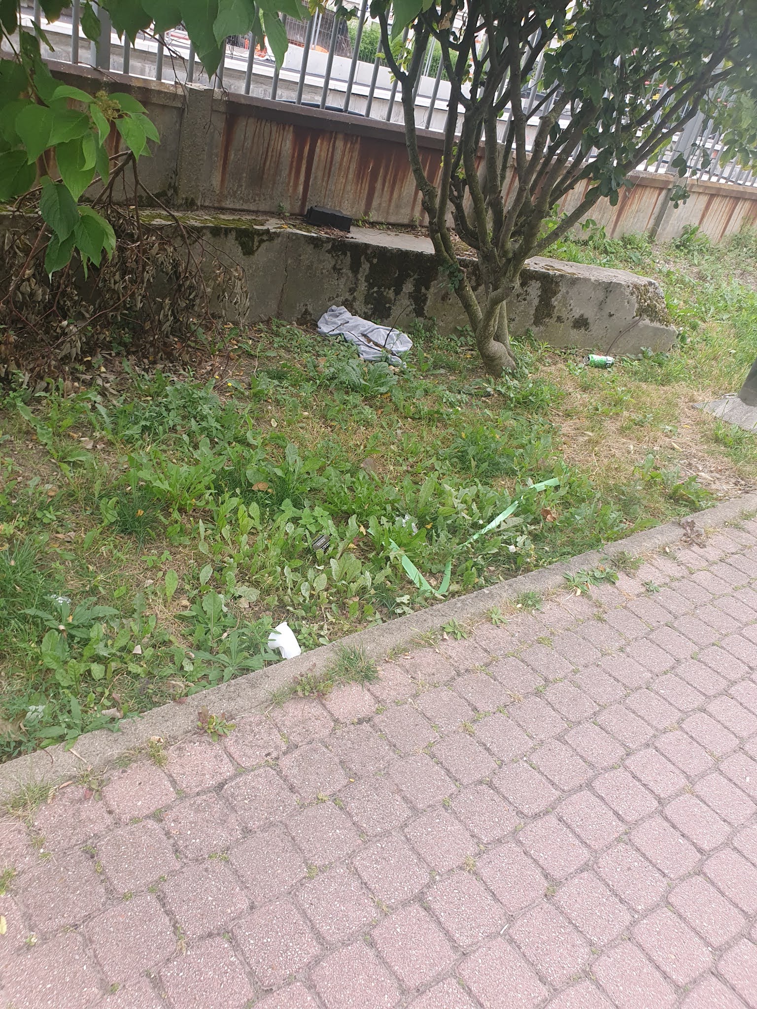 Photo n° 3 de l'avis de TiteufTiteuf. fait le 18/08/2021 à 18:10