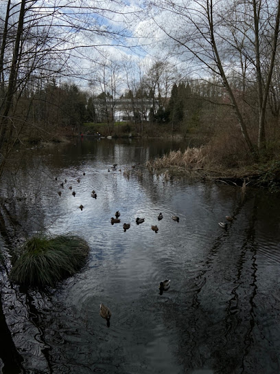 Sanctuary Pond