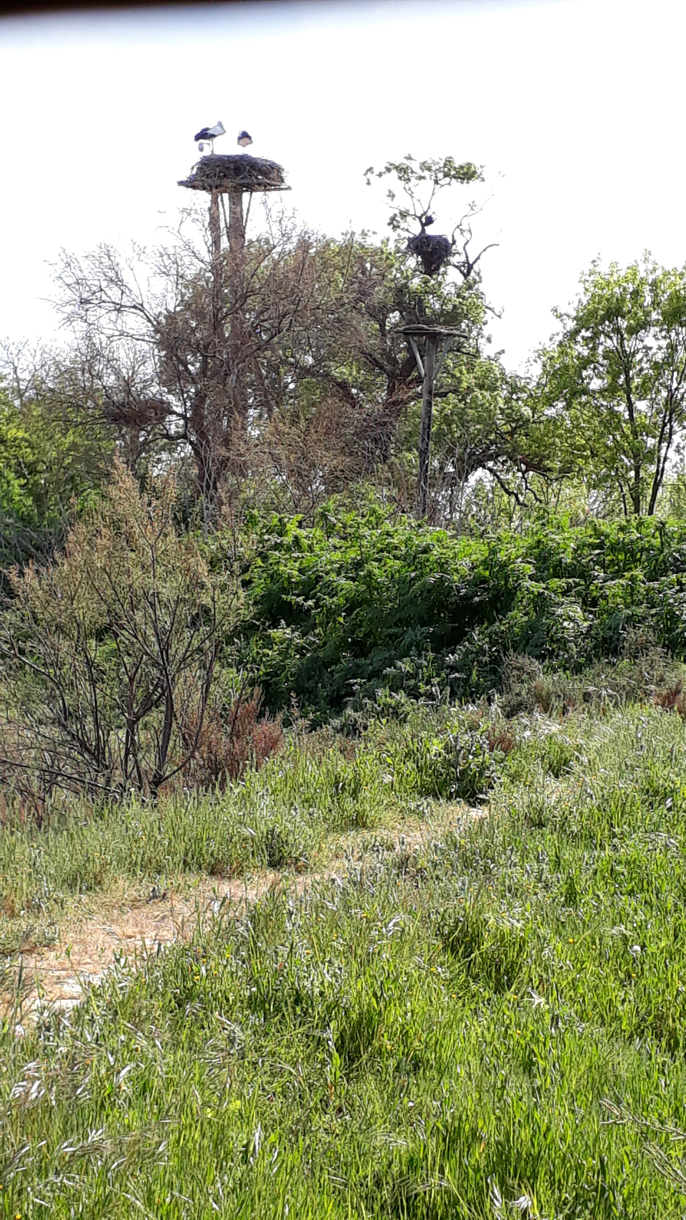 Photo n° 12 de l'avis de Cassandra.i fait le 17/03/2019 à 16:00