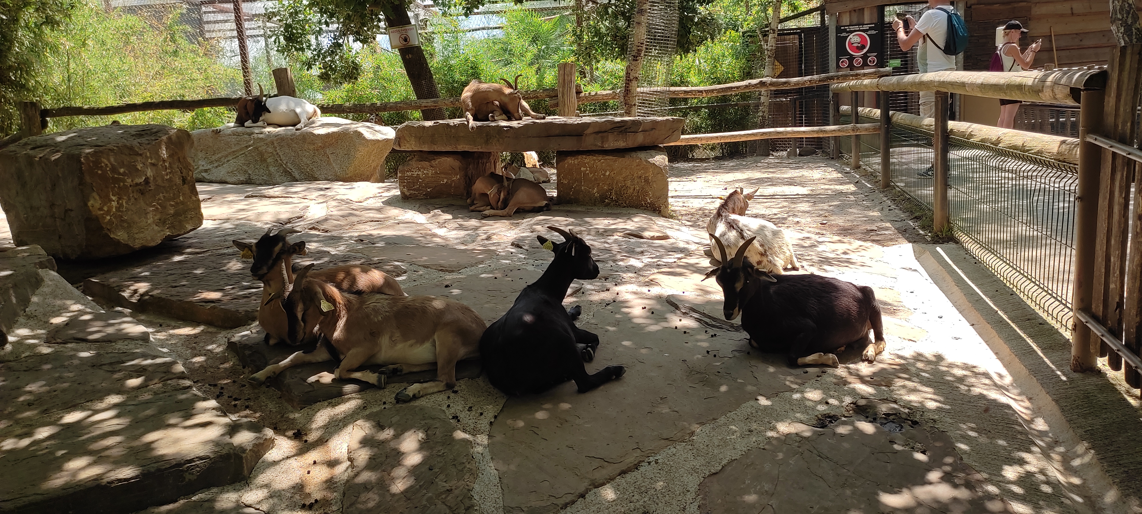 Photo n° 10 de l'avis de albane16.c fait le 16/07/2022 à 20:11