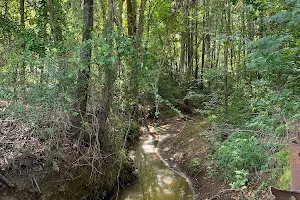 Creekside Trail - Dudley Trailhead image