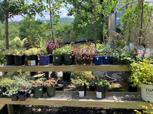 Garden Center «Victoria Gardens», reviews and photos, 1 Cottekill Rd, Rosendale, NY 12472, USA