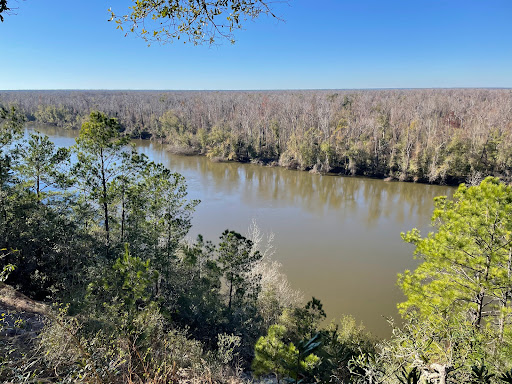 The Nature Conservancy Apalachicola Bluffs and Ravines Preserve (Garden of Eden trail)