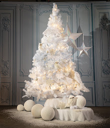 Photo n°9 de Planet’n’Co SAS à Évry-Courcouronnes ()