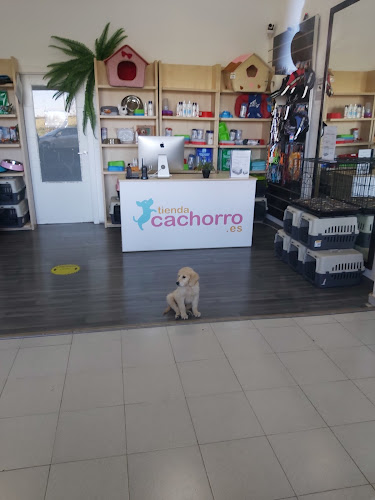 Tienda cachorro