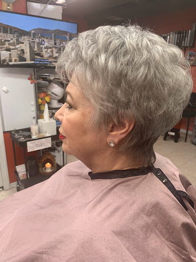 Beauty Salon «Signature Hairstyle Beauty Salon», reviews and photos, 10526 Old Olive Street Rd, Creve Coeur, MO 63141, USA