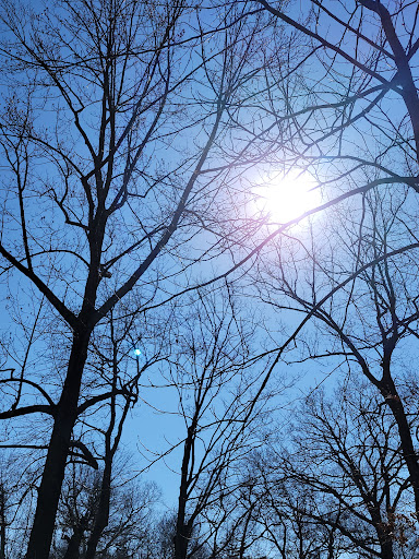 Park «Reverend Arthur Mackey Park», reviews and photos, 242 Elmwood Ave, Roosevelt, NY 11575, USA