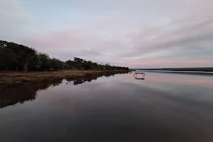 Sucuriú River image