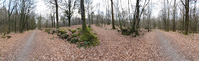 Forêt de Loudéac - Pont Alban à La Motte