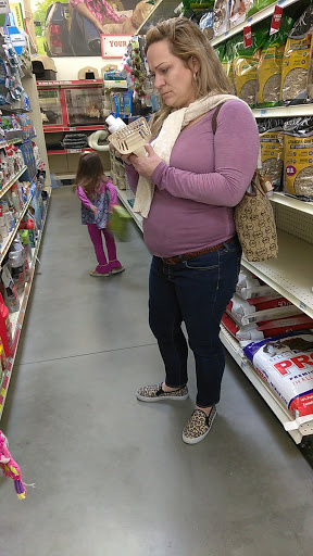 Home Improvement Store «Tractor Supply Co.», reviews and photos, 5359 W US Hwy 90, Lake City, FL 32055, USA