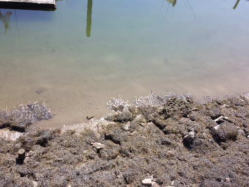 State Park «Squantum Point Park», reviews and photos, Miwra Haul Rd, Quincy, MA 02171, USA