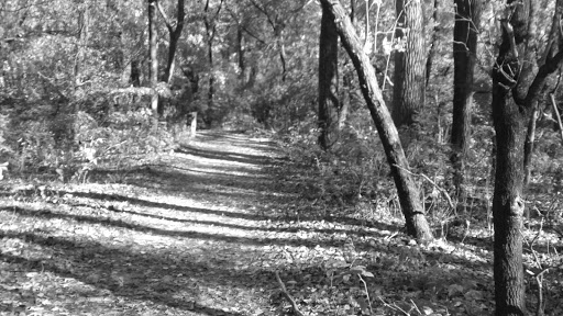 Nature Preserve «Wood Lake Nature Center», reviews and photos, 6710 Lake Shore Dr S, Minneapolis, MN 55423, USA