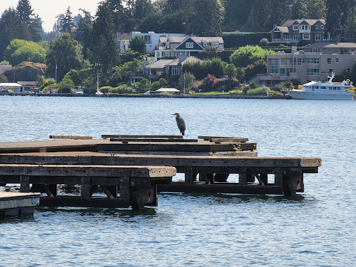 Park «Luther Burbank Park», reviews and photos, 2040 84th Ave SE, Mercer Island, WA 98040, USA