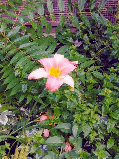 Park «Jefferson Park», reviews and photos, 4822 N Long Ave, Chicago, IL 60630, USA